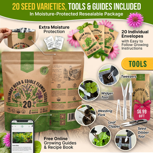 20 Culinary Herbs & Edible Flower Seeds Variety Pack