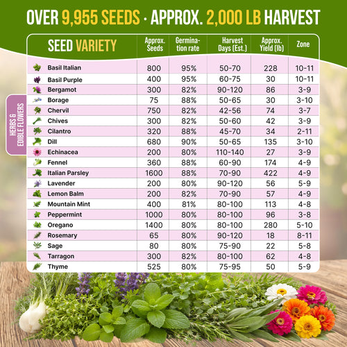 20 Culinary Herbs & Edible Flower Seeds Variety Pack