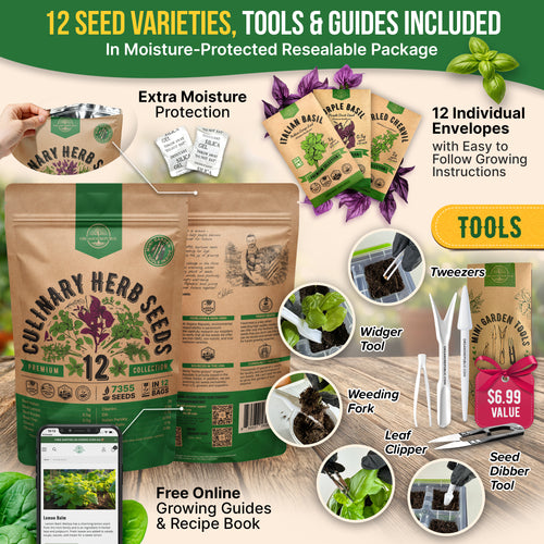 12 Culinary Herbs Seeds Variety Pack