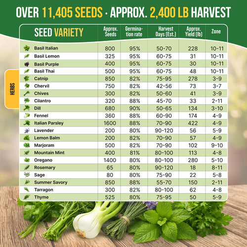 21 Culinary Herb Seeds Variety Pack