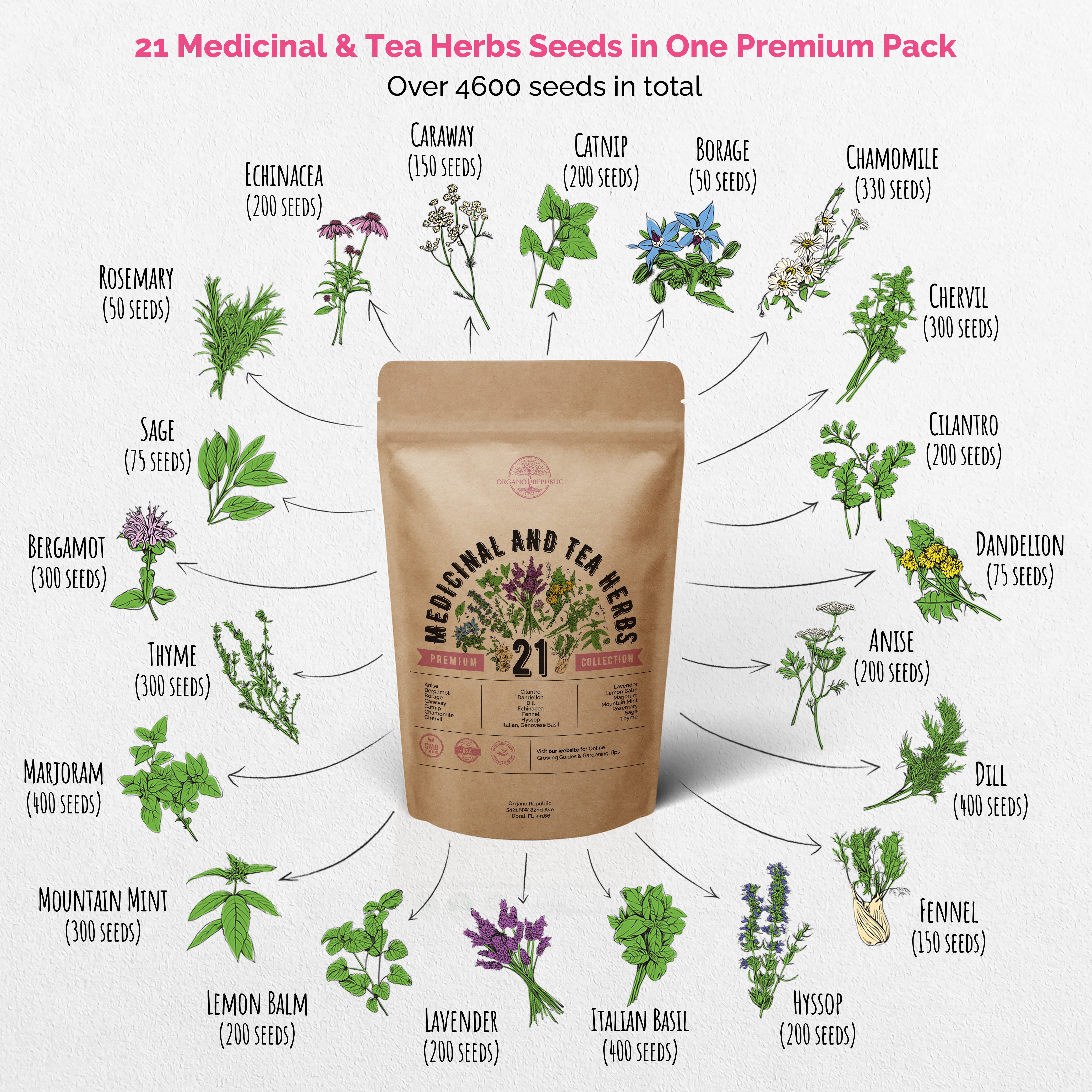 21 Medicinal & Tea Herb Seeds Variety Pack for Planting Indoor & Outdoors