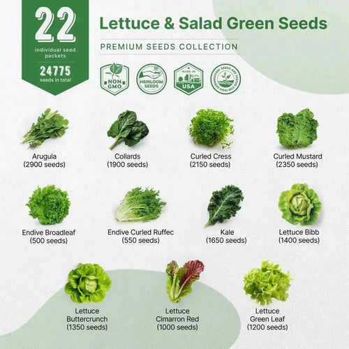 22 Lettuce & Salad Greens Seeds Variety Pack 24,700 Non - GMO Heirloom Lettuce Seeds - Organo Republic