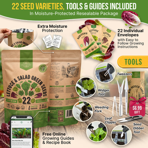 22 Lettuce & Salad Greens Seeds Variety Pack