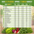 22 Lettuce & Salad Greens Seeds Variety Pack