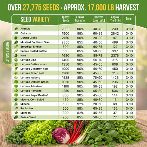 22 Lettuce & Salad Greens Seeds Variety Pack