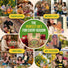 22 Lettuce & Salad Greens Seeds Variety Pack