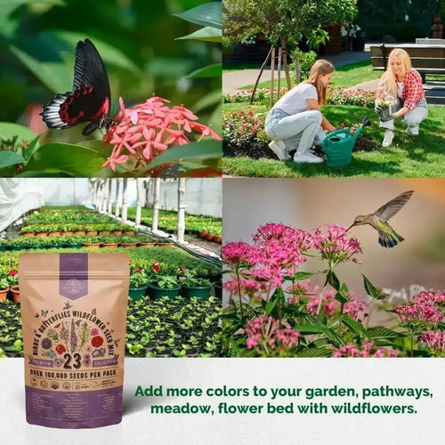 Organo Republic 23 Wildflower Seeds Annual & Perennial Mix for Indoor & Outdoors, Attract Birds & Butterflies 100,000+ Non - GMO, Heirloom Garden Seeds, 4oz Packet for Growing Wild Flowers - Organo Republic