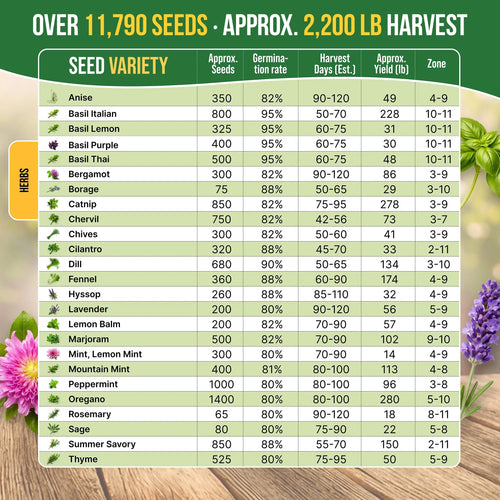 Culinary Herb Seeds Variety Pack