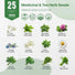 25 Medicinal & Tea Herb Seeds Variety Pack for Planting Indoor & Outdoors - Organo Republic
