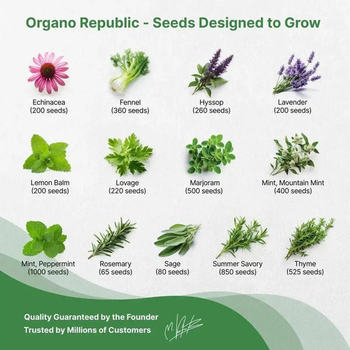 25 Medicinal & Tea Herb Seeds Variety Pack for Planting Indoor & Outdoors - Organo Republic