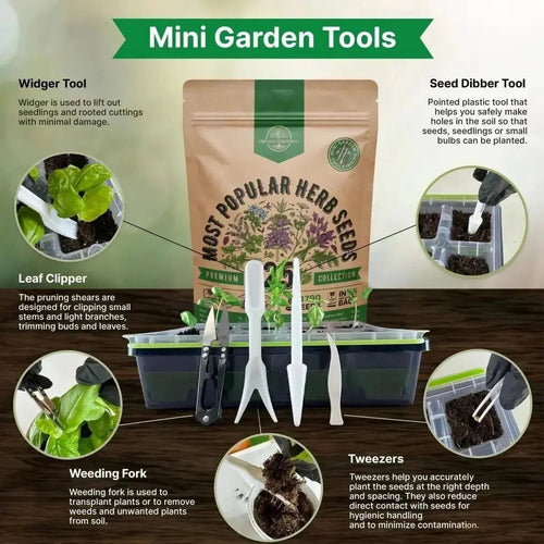 25 Most Popular Herb Seeds Variety Pack for Planting Indoor & Outdoors - Organo Republic