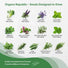 25 Most Popular Herb Seeds Variety Pack for Planting Indoor & Outdoors - Organo Republic