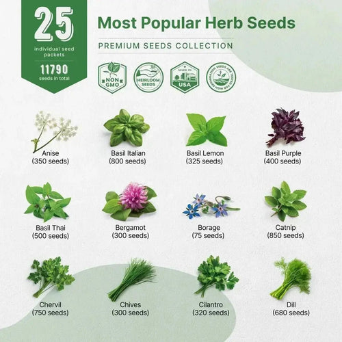 25 Most Popular Herb Seeds Variety Pack for Planting Indoor & Outdoors - Organo Republic