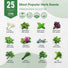 25 Most Popular Herb Seeds Variety Pack for Planting Indoor & Outdoors - Organo Republic
