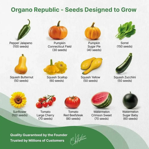 25 Summer Fruit & Vegetable Seeds Variety Pack - 1800+ Non GMO Heirloom Seeds in Bulk Individual Seed Packets, Rare Vegetable Garden Seeds. - Organo Republic