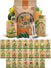 25 Summer Fruit & Vegetable Seeds Variety Pack - 1800+ Non GMO Heirloom Seeds in Bulk Individual Seed Packets, Rare Vegetable Garden Seeds. - Organo Republic
