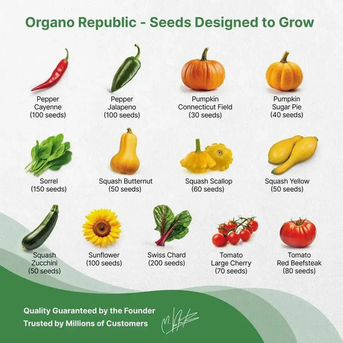25 Summer Greens & Vegetable Seeds - 6500+ Non GMO Heirloom Seeds for Planting Vegetable in Bulk Individual Seed Packets, Rare Garden Seeds - Organo Republic