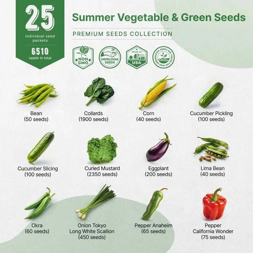 25 Summer Greens & Vegetable Seeds - 6500+ Non GMO Heirloom Seeds for Planting Vegetable in Bulk Individual Seed Packets, Rare Garden Seeds - Organo Republic