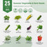 25 Summer Vegetable & Herb Garden Seeds Variety Pack for Planting Outdoors and Indoor - Organo Republic