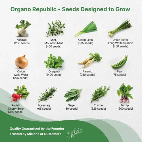 25 Winter Vegetable & Herb Seeds - 22,800+ Garden Non GMO Heirloom Seeds for Planting Vegetables in Bulk Individual Seed Packets, Garden Gift. - Organo Republic