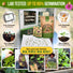 25 Culinary Herbs & Edible Flower Seeds Variety Pack