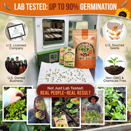 non gmo garden seed companies Organo Republic - 25 Summer Vegetable & Herbs Seeds Varieties