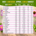 25 Culinary Herbs & Edible Flower Seeds Variety Pack