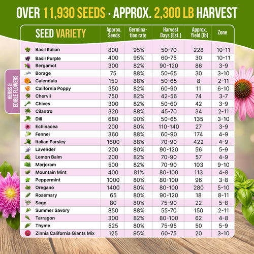 25 Culinary Herbs & Edible Flower Seeds Variety Pack