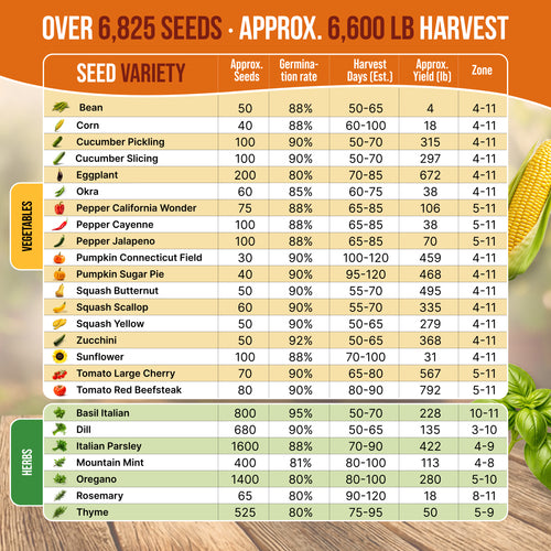 25 Summer Vegetable & Herb Garden Seeds
