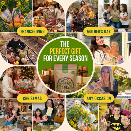 25 Culinary Herbs & Edible Flower Seeds Variety Pack