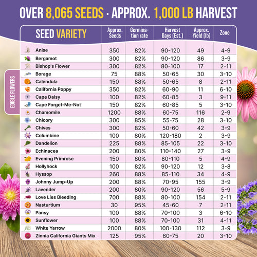 edible wildflower seeds Organo Republic - 25 Edible Flower Seeds Varieties