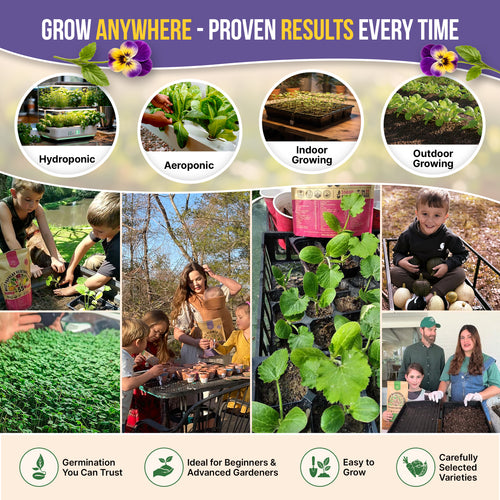vegetable and flower seeds online Organo Republic - 25 Edible Flower Seeds Varieties
