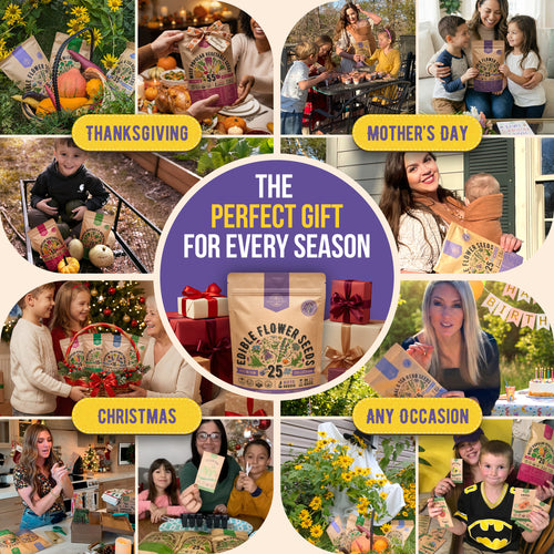 25 Edible Flower Seeds Variety Pack