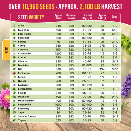 25 Medicinal & Tea Herb Seeds Variety Pack