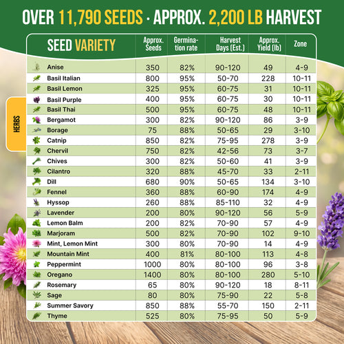 25 Most Popular Herb Seeds Variety Pack