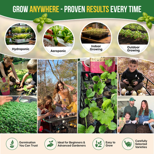 25 Most Popular Herb Seeds Variety Pack