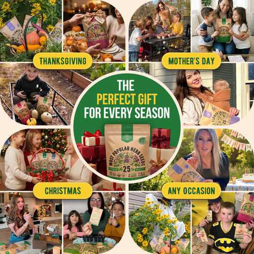 25 Most Popular Herb Seeds Variety Pack