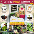 25 Most Popular Vegetable Seeds Variety Pack