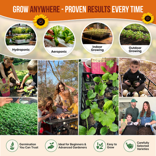 planting seeds from store bought fruit Organo Republic - 25 Summer Vegetable & Fruit Seeds Varieties
