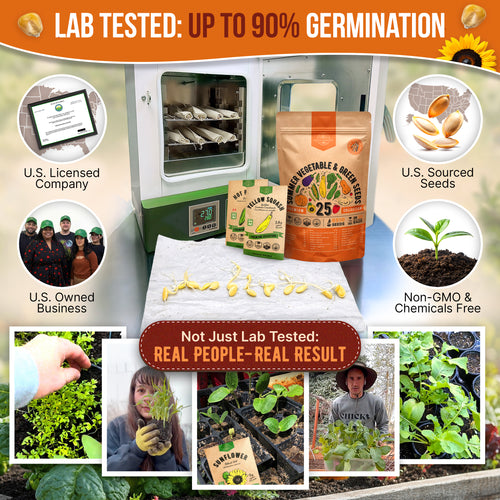 organic seeds and plants online Organo Republic - 25 Summer Vegetable & Greens Seeds Varieties