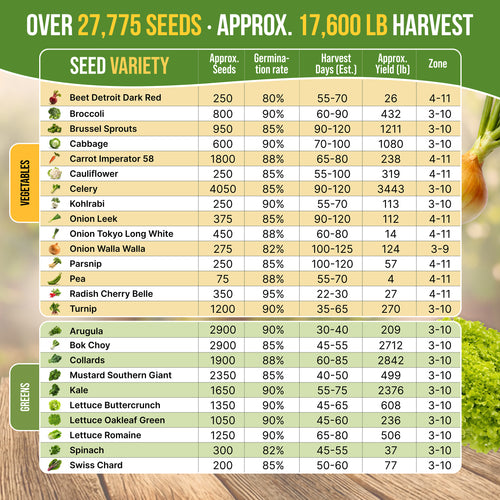 25 Winter Vegetable Seeds Variety Pack
