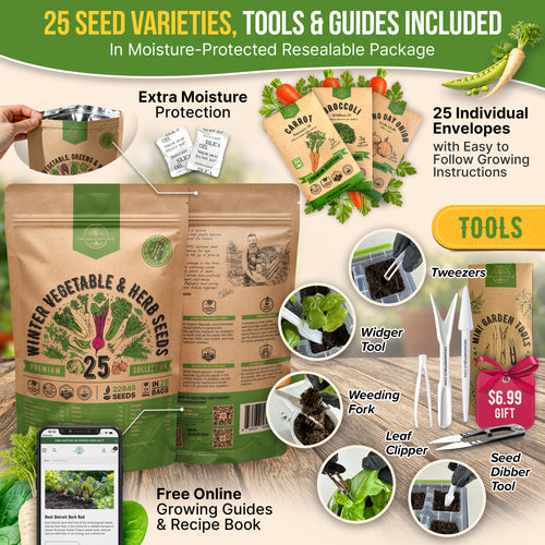 25 Winter Vegetable & Herb Seeds Variety Pack