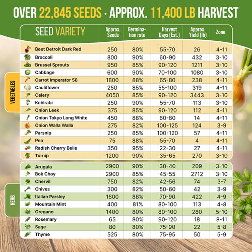 25 Winter Vegetable & Herb Seeds Variety Pack