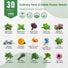 30 Culinary Herbs & Edible Flower Seeds Variety Pack for Planting Indoor & Outdoors. - Organo Republic
