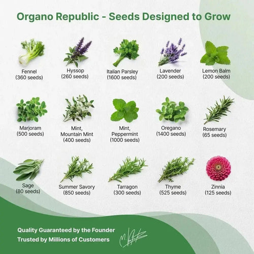30 Culinary Herbs & Edible Flower Seeds Variety Pack for Planting Indoor & Outdoors. - Organo Republic