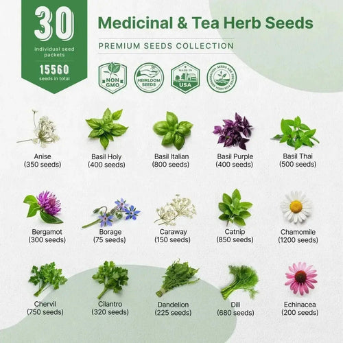 30 Herb Seeds - Medicinal & Tea Variety Pack 15,500+ Non GMO Heirloom Seeds for Planting Herbs in Bulk Individual Seed Packets Garden Gifts - Organo Republic