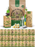 30 Herb Seeds - Medicinal & Tea Variety Pack