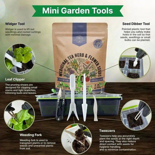 30 Medicinal Tea Herb & Flower Seeds Variety Pack for Planting Indoor & Outdoors - Organo Republic