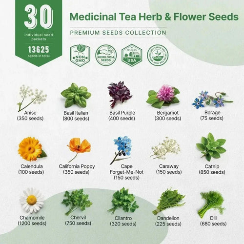 30 Medicinal Tea Herb & Flower Seeds Variety Pack for Planting Indoor & Outdoors - Organo Republic