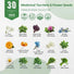 30 Medicinal Tea Herb & Flower Seeds Variety Pack for Planting Indoor & Outdoors - Organo Republic